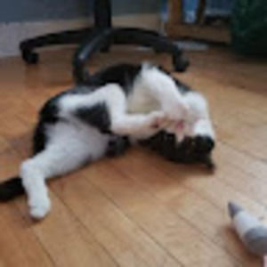 Meet your Posher, Elease